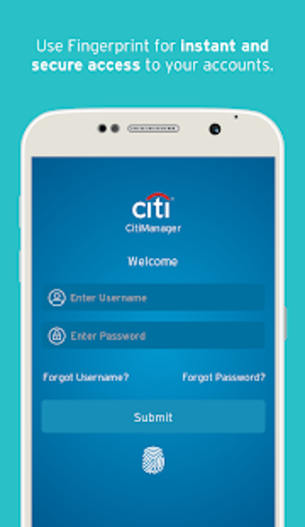 Image 3 for CitiManager  Corporate Ca…
