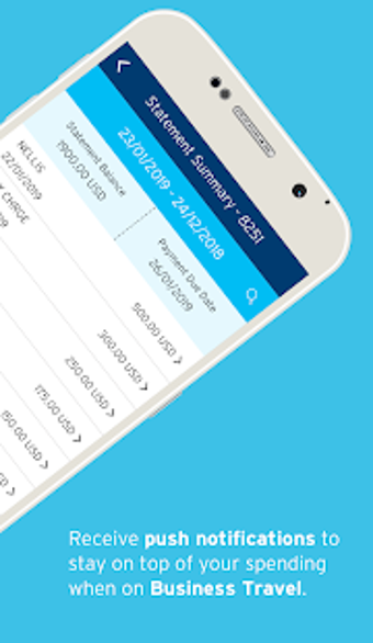 Image 0 for CitiManager  Corporate Ca…