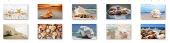 Image 0 for Sea Shells Windows 7 Them…
