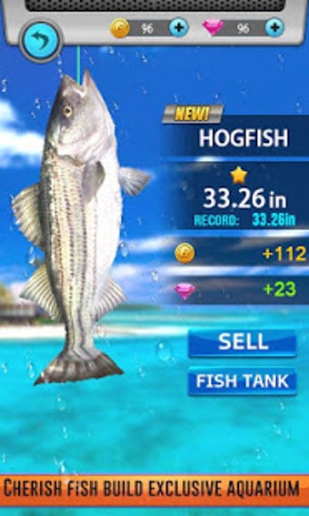 Image 0 for Fishing Strike 2019 - Fis…
