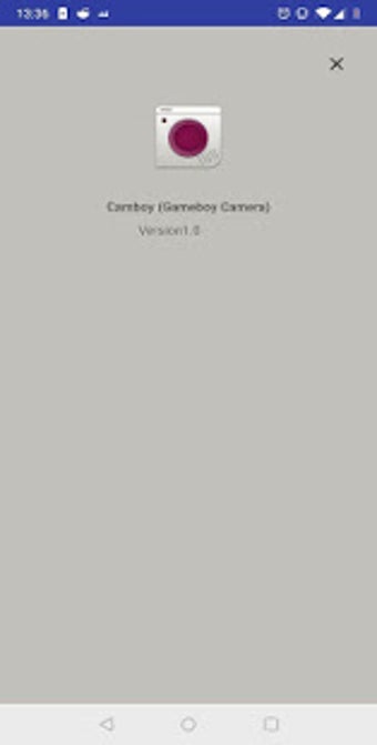 Image 0 for Gameboy Camera - Retro fi…