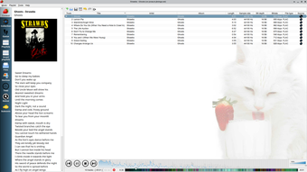 Image 0 for Strawberry Music Player