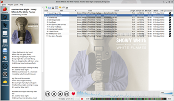 Image 3 for Strawberry Music Player