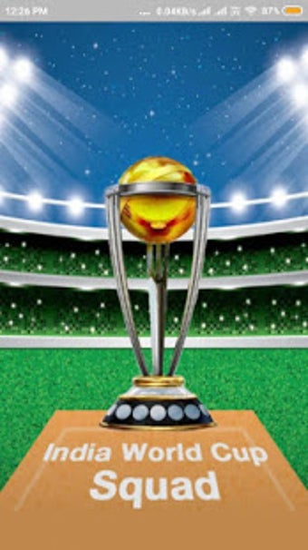 Image 2 for Indian Cricket Team Stick…