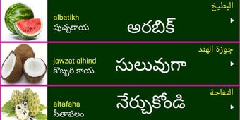 Image 3 for Learn Arabic from Telugu