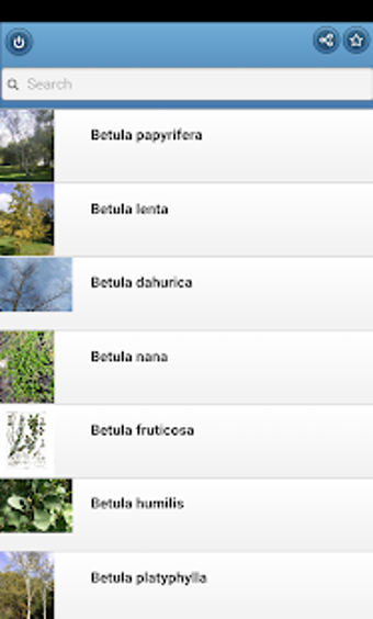 Imagen 1 para Trees