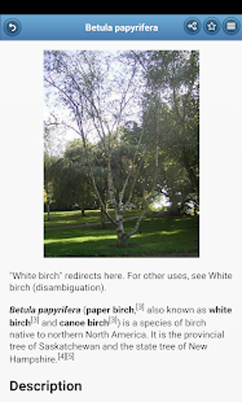 Imagen 0 para Trees