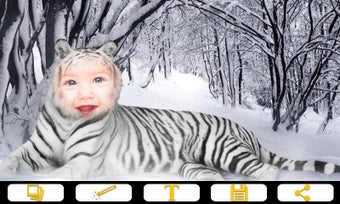 Image 1 for Tiger Photo Frames