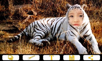 Image 2 for Tiger Photo Frames