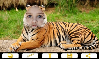 Image 0 for Tiger Photo Frames