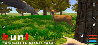 Image 0 for The Forest Survival Simul…