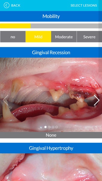 Imagen 0 para Dental Index