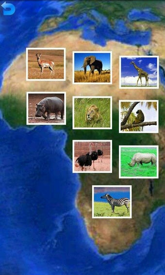 Image 1 for Animal Puzzle