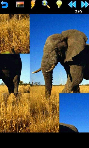 Image 0 for Animal Puzzle