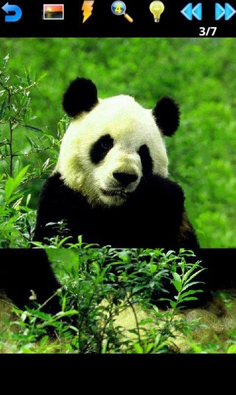 Image 2 for Animal Puzzle