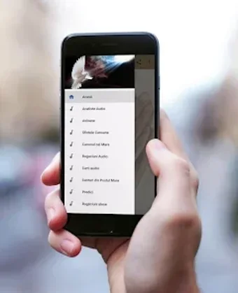 Image 0 for Rugăciuni audio