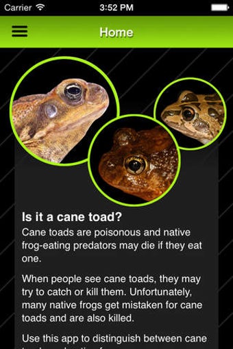 Imagen 0 para Cane Toad