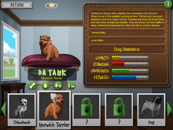 Image 2 for Best in Show Dog Solitair…