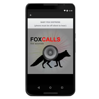 Image 0 for Fox Calls & Fox Sounds
