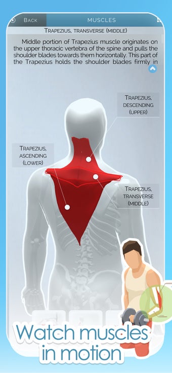 Image 3 for Gym of Tomorrow: Workout …