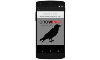 Image 2 for Crow Calls and Crow Sound…
