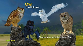 Image 0 for Great Horned Owl Multipla…