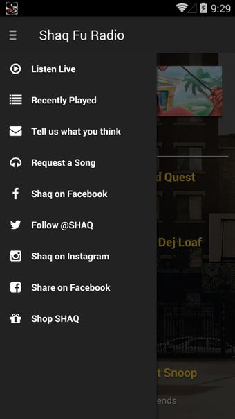 Imagen 1 para Shaq Fu Radio