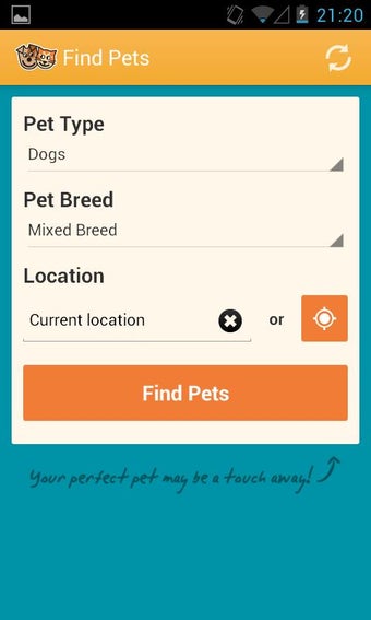 Image 2 for Pets4Homes