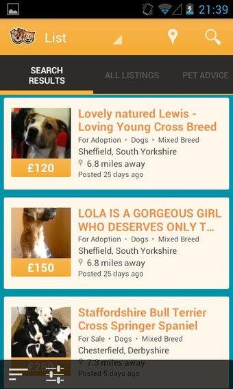 Image 0 for Pets4Homes