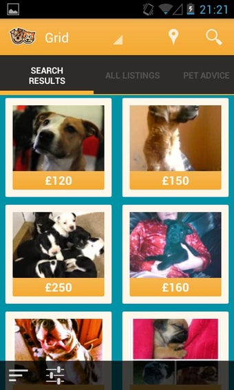 Image 1 for Pets4Homes