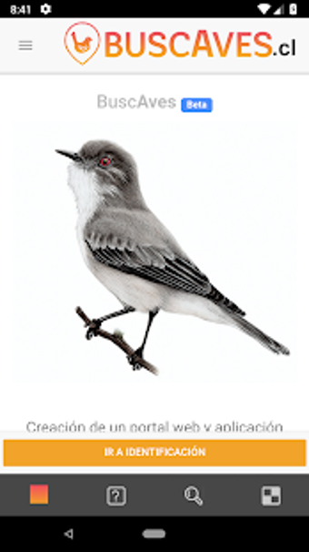 Image 2 for BuscAves - Identificacin …