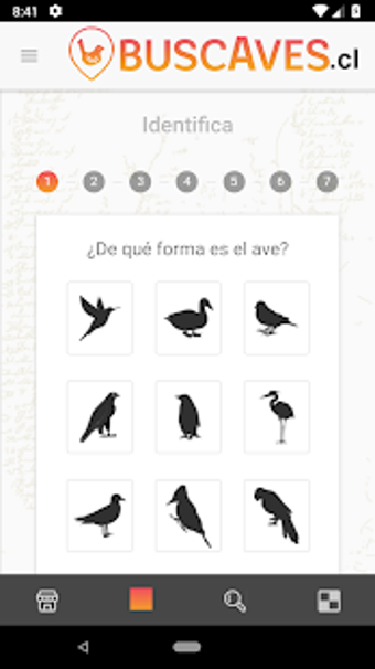 Image 3 for BuscAves - Identificacin …