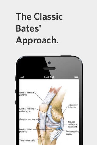 Image 0 for Bates' Pocket Guide to Ph…