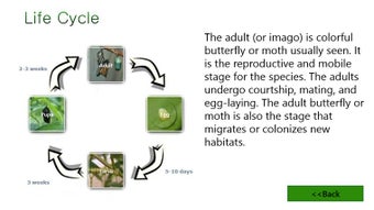 Image 0 for World of Butterflies for …