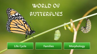 Image 1 for World of Butterflies for …