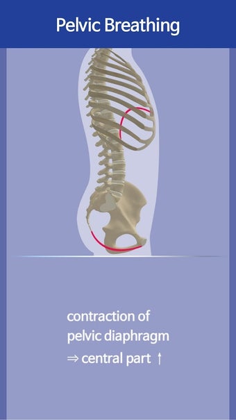 Imagen 3 para New Kegel Exercise