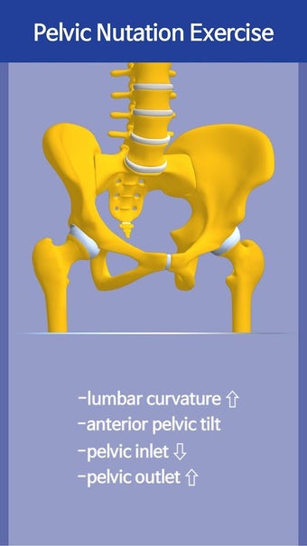 Image 2 for New Kegel Exercise