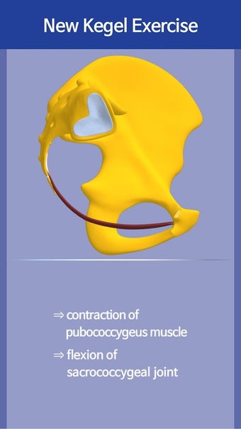 Imagen 0 para New Kegel Exercise