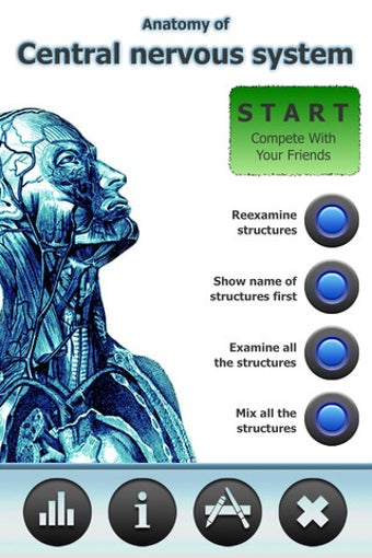 Image 4 for Anatomy Star - CNS (the B…