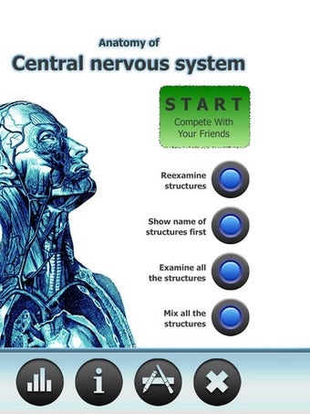 Image 7 for Anatomy Star - CNS (the B…