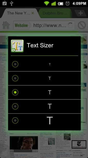 Imagen 1 para Dolphin: Text Sizer