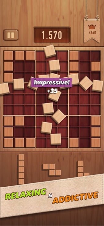 Image 1 for Woody 99 - Sudoku Block P…