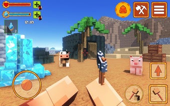 Imagen 0 para Real Craft 3D
