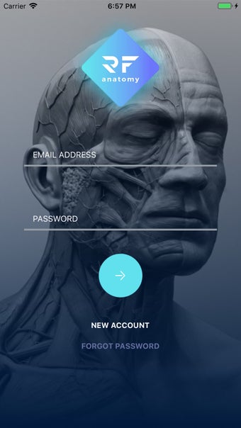 Image 2 for RF Anatomy