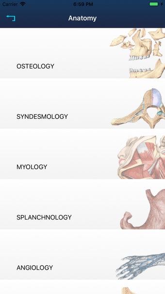 Image 1 for RF Anatomy