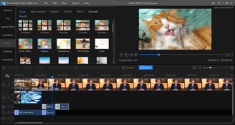 Image 8 for ThunderSoft Video Editor …