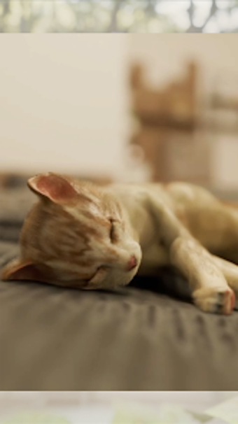 Imagen 0 para The Cat Was in the Bedroo…