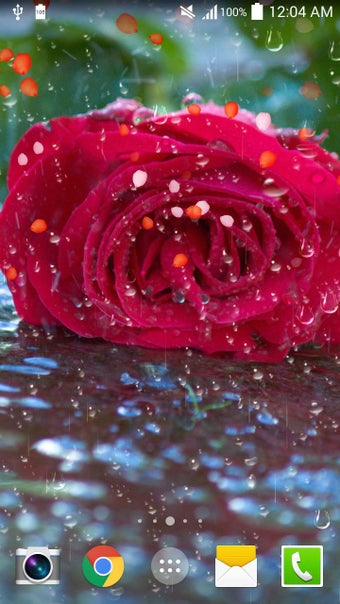 Image 0 for Rose Droplets Live Wallpa…