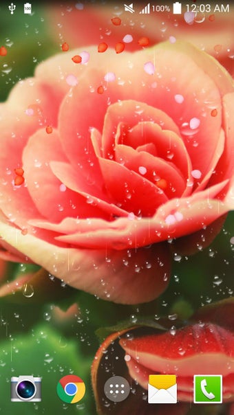 Image 1 for Rose Droplets Live Wallpa…