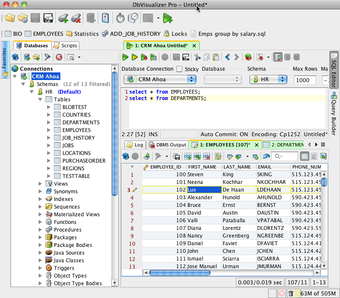 Imagen 6 para DbVisualizer